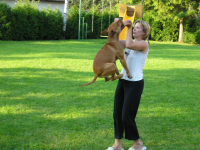 Bull sporty s Lucy – High jump – 1. díl